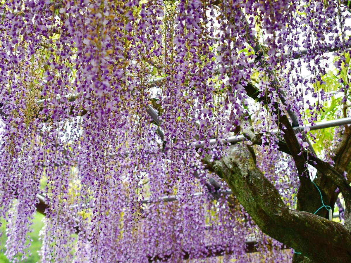 Hotel Tomioka-Ya Fujieda Dış mekan fotoğraf