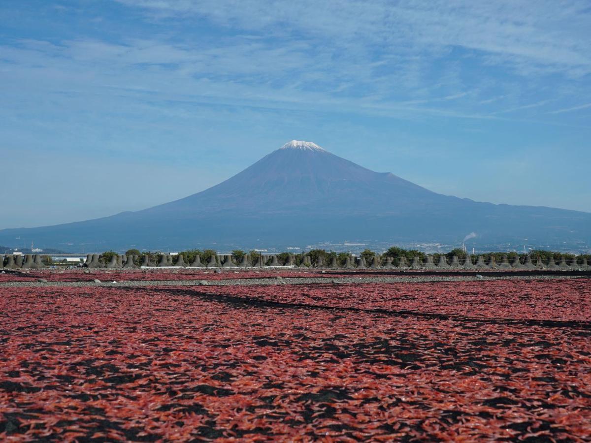 Hotel Tomioka-Ya Fujieda Dış mekan fotoğraf